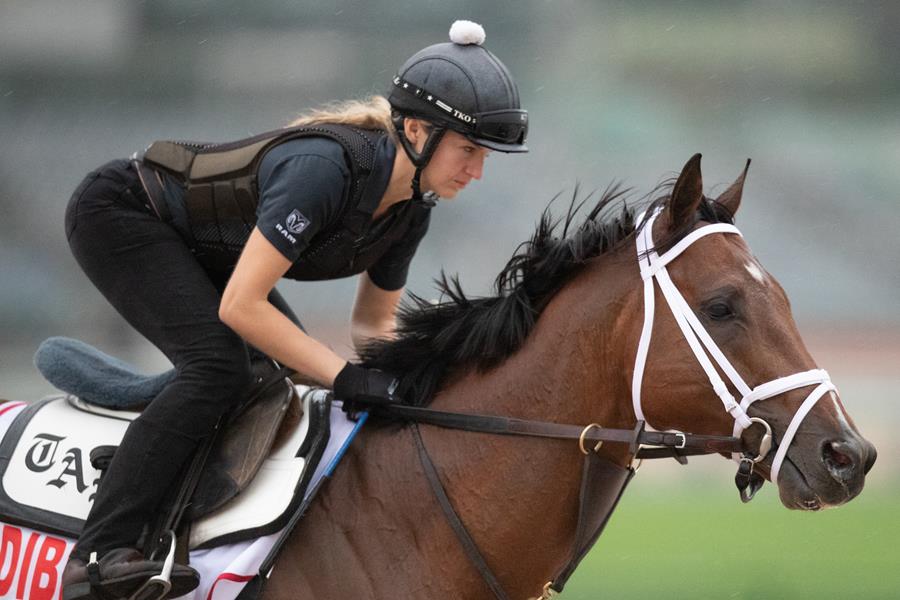 Horse Times Egypt: Equestrian Magazine :News :DUBAI WORLD CUP 2019 :TRACK NOTES THURSDAY 28TH