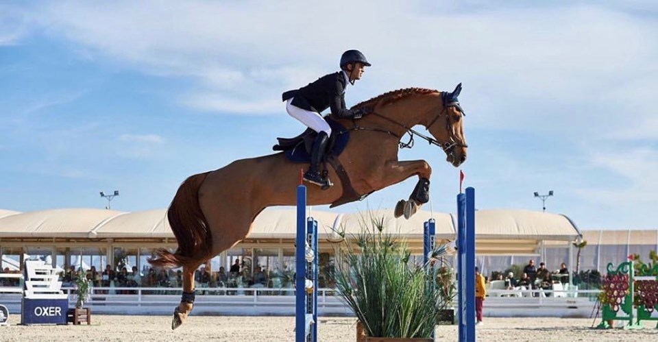 Horse Times Egypt: Equestrian Magazine :News :MOHAMED TAHER ZEYADA WINS SECOND PLACE IN GRAND PRIX CSI 3* KNOKKE-BELGIUM