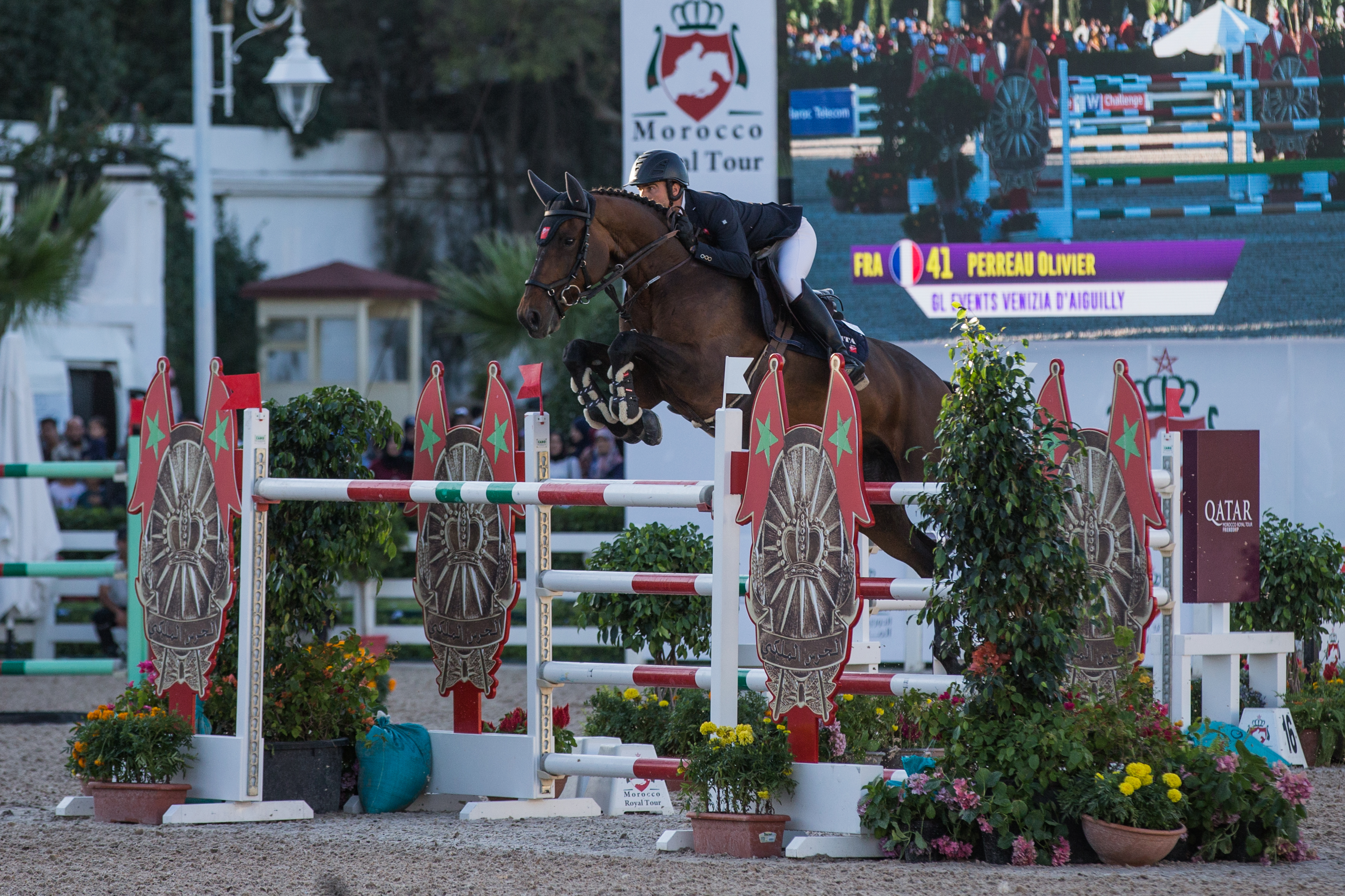 Horse Times Egypt: Equestrian Magazine :News :Olivier Perreau takes the 4*-W Grand Prix of Tetouan