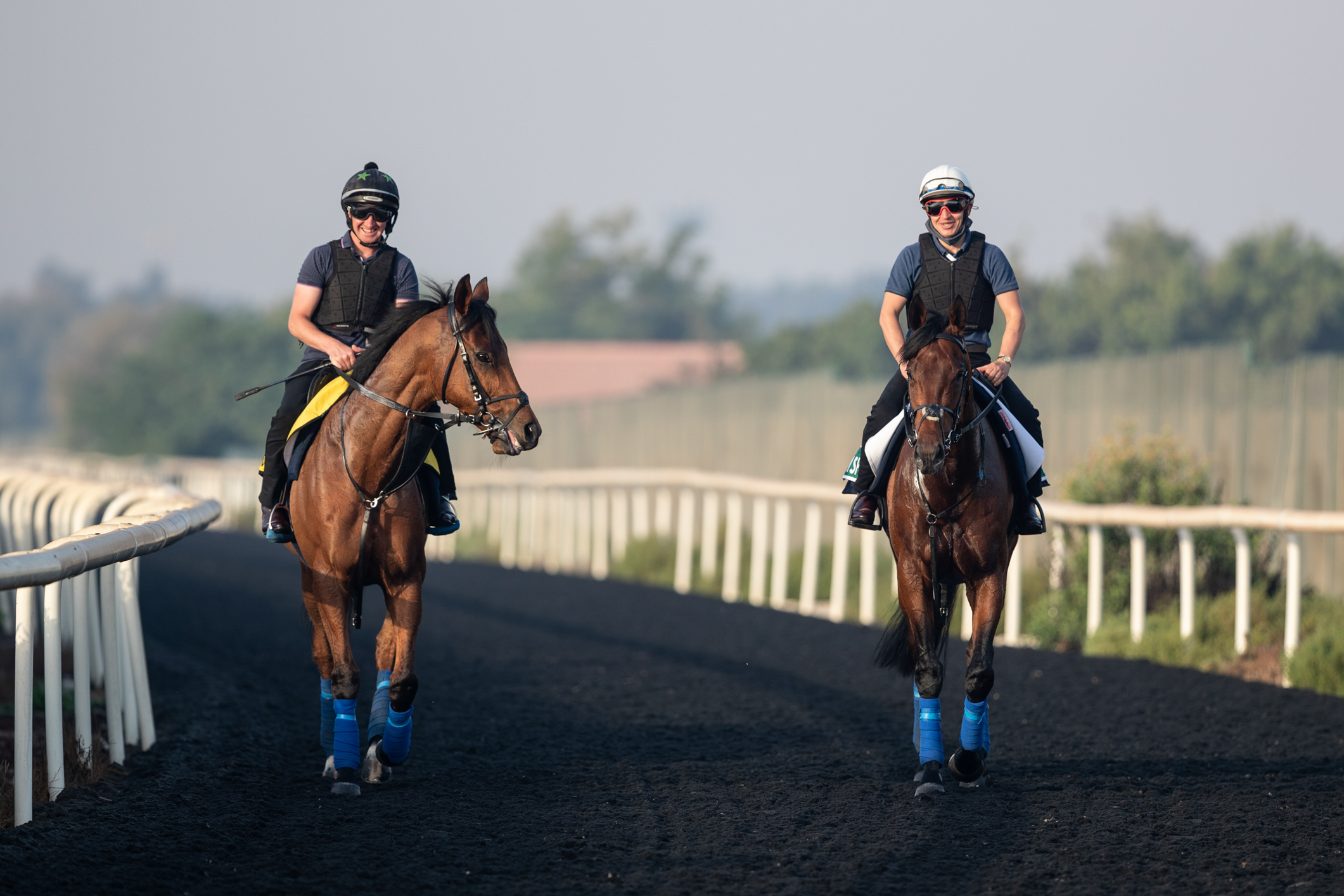 Horse Times Egypt: Equestrian Magazine :News :HORSE TIMES GIVES YOU A SNEAK PEAK FROM MEYDAN RACECOURSE AHEAD OF DUBAI WORLD CUP 2021
