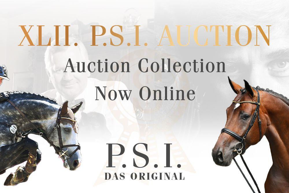 Horse Times Egypt: Equestrian Magazine :News :The 42nd P.S.I. Auction collection is Online