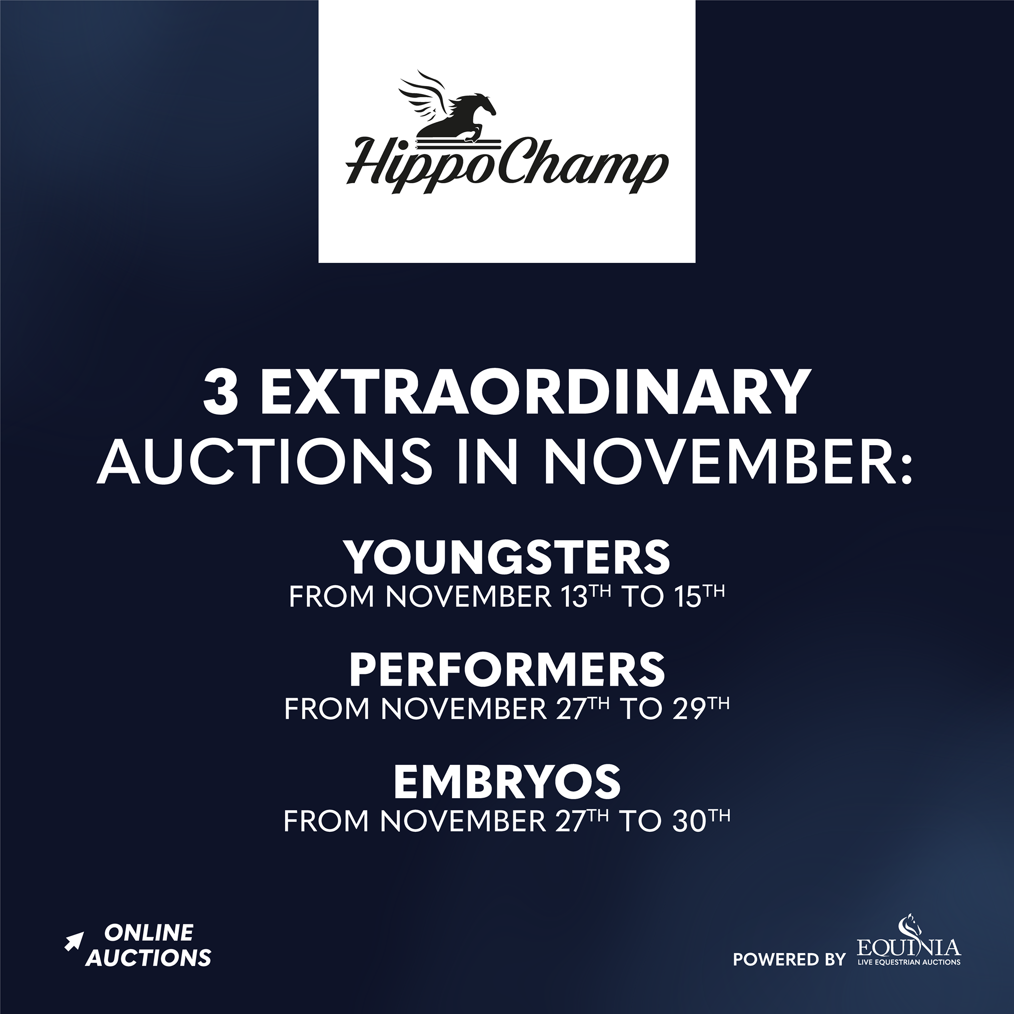 Horse Times Egypt: Equestrian Magazine :News :EQUINIA GOES FORWARD WITH ITS EXTROADINARY NOVEMBER AUCTIONS
