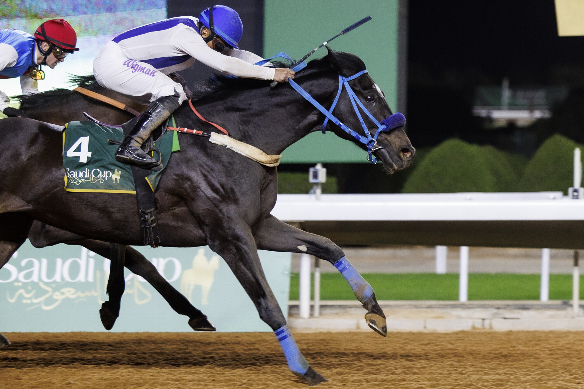 Horse Times Egypt: Equestrian Magazine :News :EMBLEM ROAD MAKES AN UNBELIEVABLE VICTORY AT THE $20M SAUDI CUP ON HOMELAND