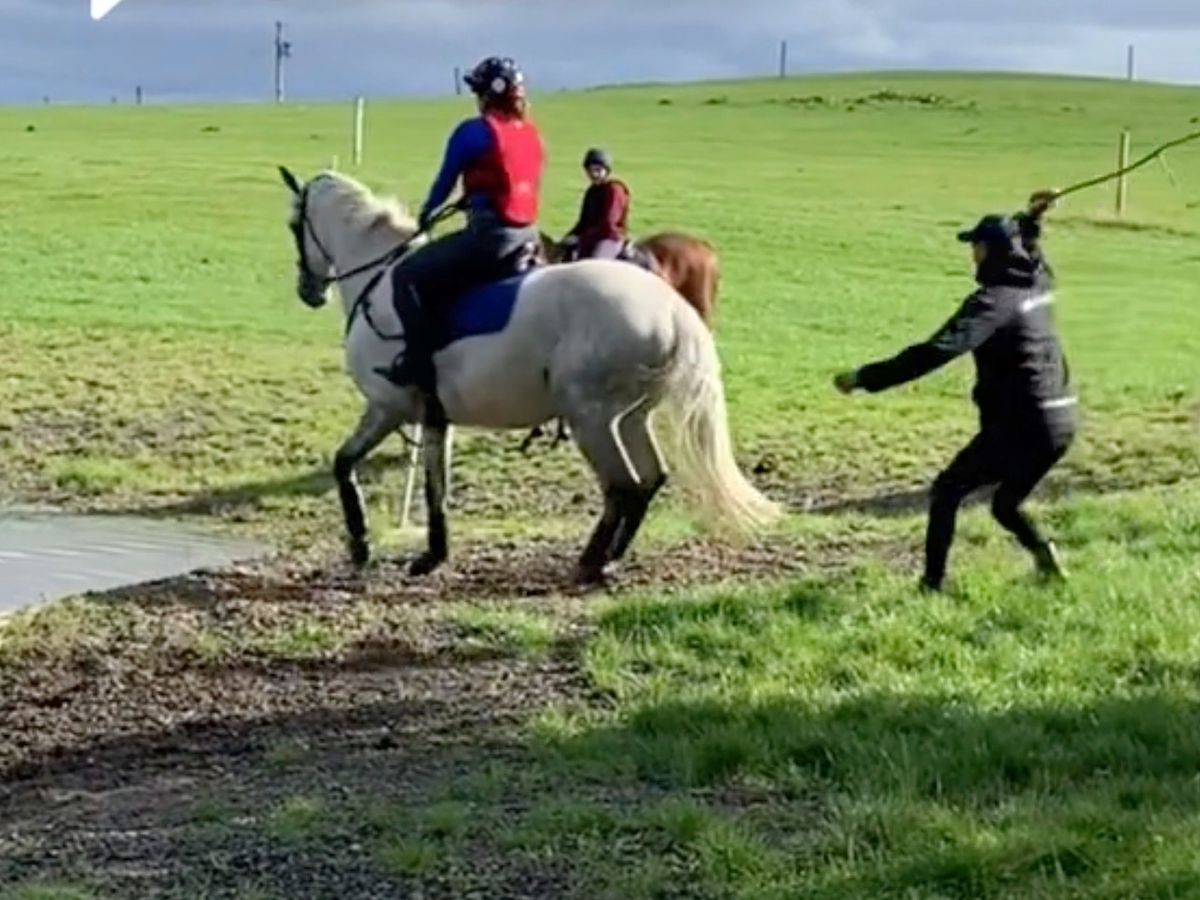 Horse Times Egypt: Equestrian Magazine :News :Sir Mark Todd Suspended by BHA After Whipping Horse With Branch