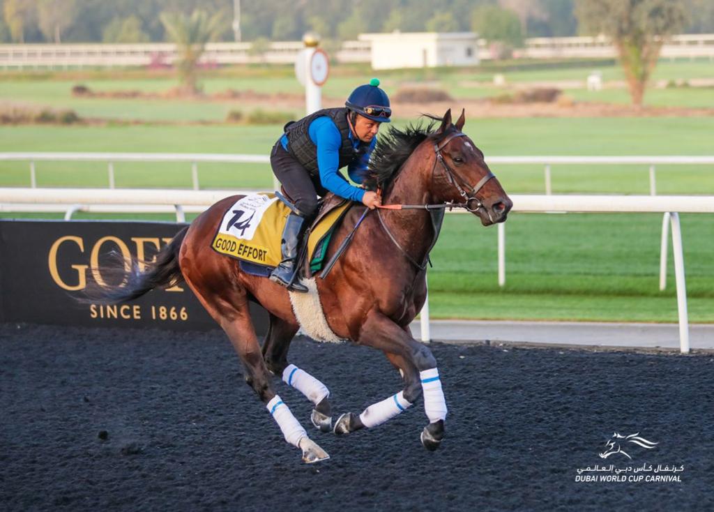 Horse Times Egypt: Equestrian Magazine :News :ALL EYES ON MEYDAN AS THE 26TH DUBAI WORLD CUP STARTS TOMORROW