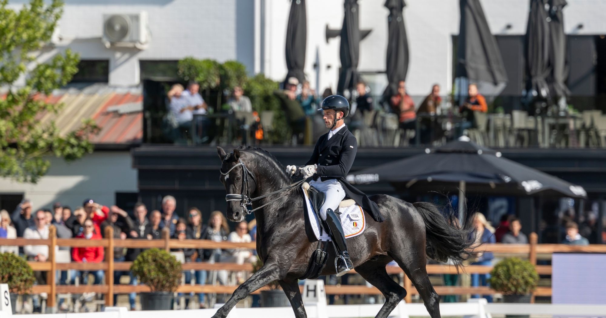 Horse Times Egypt: Equestrian Magazine :News :HOME TEAM BELGIUM TRIUMPHS AT LIER