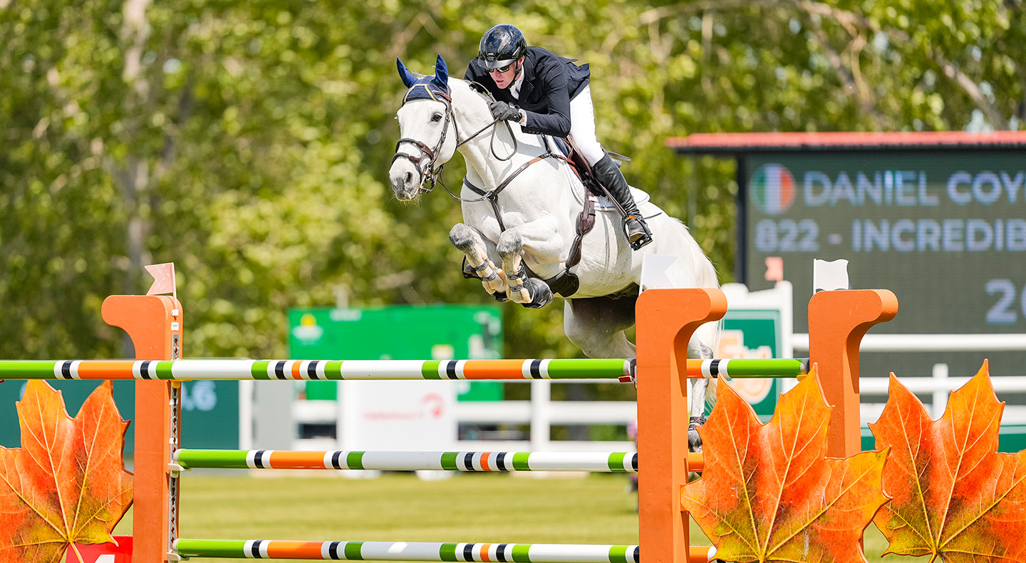 Horse Times Egypt: Equestrian Magazine :News :A DOUBLE HEADER FOR IRELAND’S DANIEL COYLE AT DAY 2 OF THE ‘CONTINENTAL’ CSI5*, PRESENTED BY ROLEX