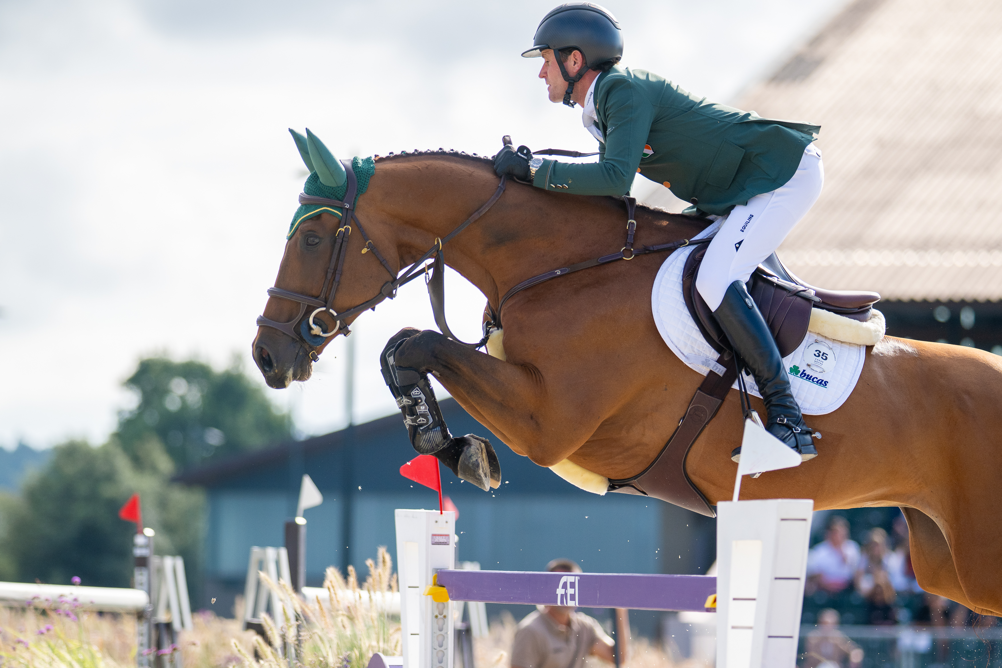 Horse Times Egypt: Equestrian Magazine :News :DARRAGH KENNY: PRECISION IN MOTION