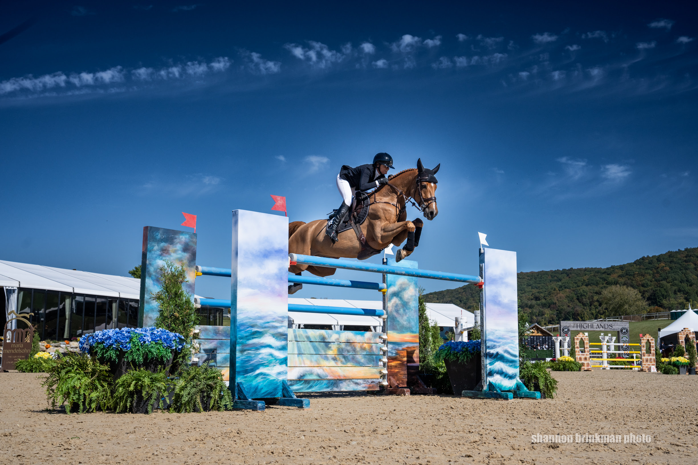 Horse Times Egypt: Equestrian Magazine :News :ERYNN BALLARD FLIES IN SILO RIDGE MASTERS 3* JUMPER CLASSIC 
