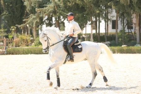 Horse Times Egypt: Equestrian Magazine :News :DEVELOPING YOUR RIDING SKILLS