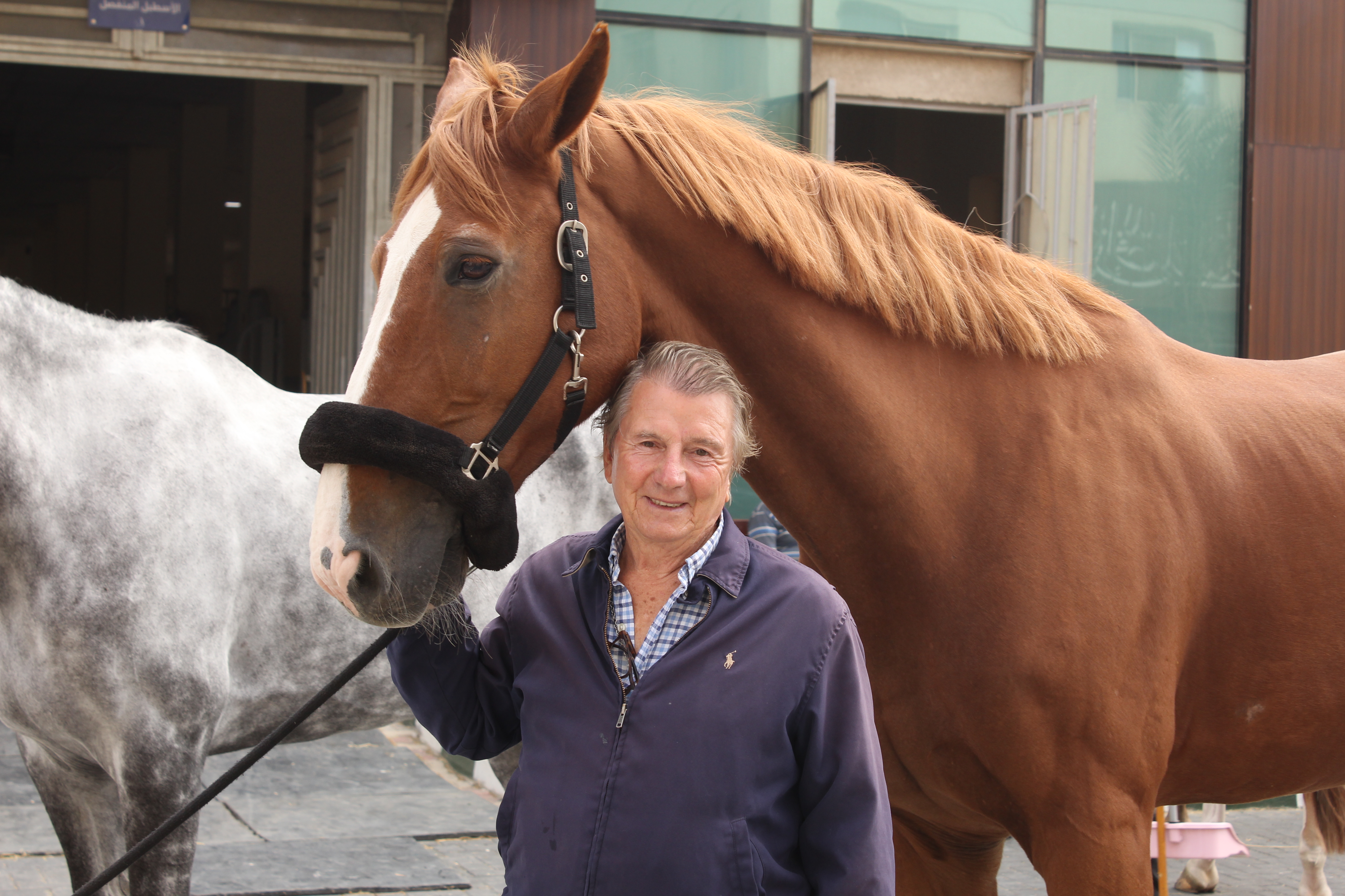 Horse Times Egypt: Equestrian Magazine :News :JEAN-MARC NICOLAS GUEST OF HONOUR AT CSI2* CAIRO INTERNATIONAL SHOWJUMPING COMPETITION 