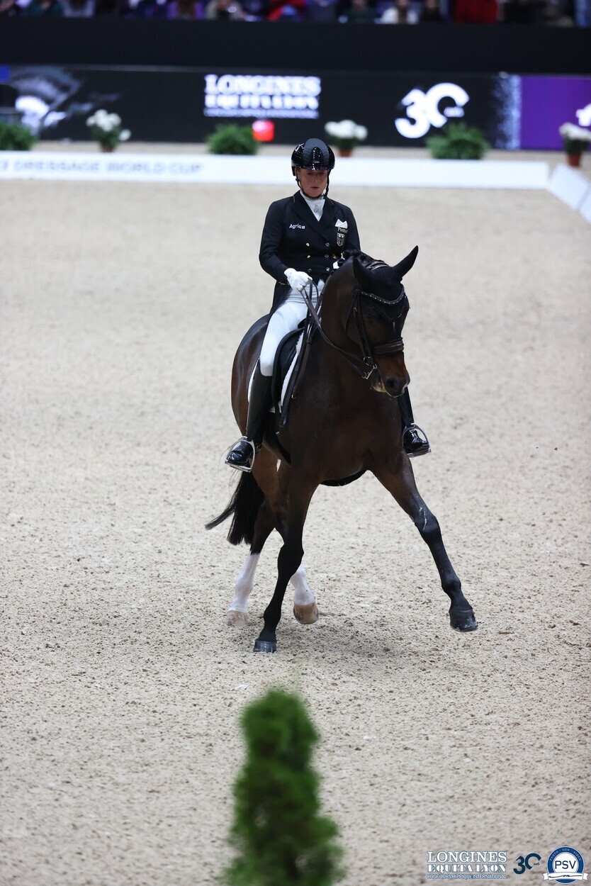 Horse Times Egypt: Equestrian Magazine :News :LONGINES EQUITA LYON IS ON